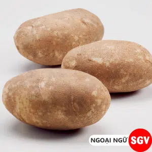Khoai tây tiếng Anh là gì